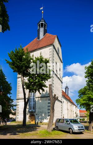 Stadtbild Mühlberg/Elbe ist eine an der Elbe gelegene Stadt im südbrandenburgischen Landkreis Elbe Elster. Stadtpfarrkirche Unerser lieben Frauen. Mühlberg Brandenburg Deutschland *** paysage urbain Mühlberg Elbe est une ville sur la rivière Elbe dans le district d'Elbe Elster dans le sud de la ville de Brandebourg église paroissiale Unerser lieben Frauen Mühlberg Brandenburg Allemagne Banque D'Images