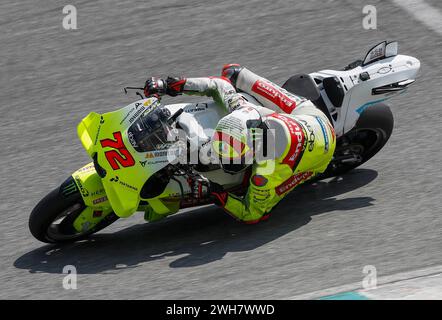 Kuala Lumpur, Malaisie. 08th Feb, 2024. Le pilote italien Marco Bezzecchi du Pertamina Enduro VR46 MotoGP Team vu en action lors des essais officiels MotoGP de Sepang sur le circuit international de Sepang. Crédit : SOPA images Limited/Alamy Live News Banque D'Images