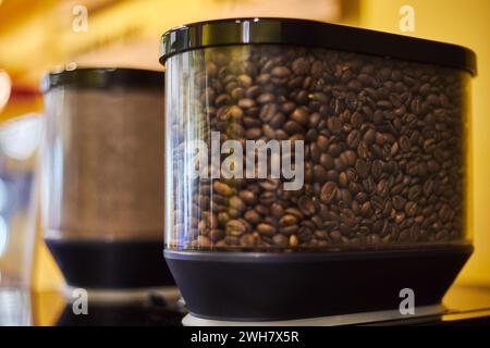 Grains de café torréfiés dans un récipient transparent en plastique avec couvercle noir d'une grande machine à café industrielle dans un café, foyer sélectif, gros plan. Makin Banque D'Images