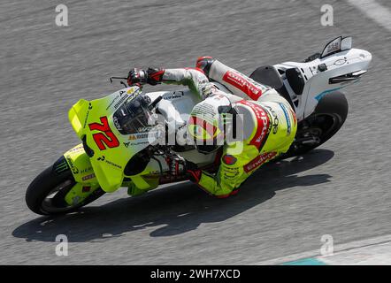 Kuala Lumpur, Malaisie. 08th Feb, 2024. Le pilote italien Marco Bezzecchi du Pertamina Enduro VR46 MotoGP Team vu en action lors des essais officiels MotoGP de Sepang sur le circuit international de Sepang. (Photo de Wong Fok Loy/SOPA images/SIPA USA) crédit : SIPA USA/Alamy Live News Banque D'Images