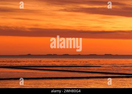 Langeneß / Langeness, petite île de Hallig dans le parc national de la mer des Wadden en Frise du Nord / Frise du Nord, Schleswig-Holstein, Allemagne Banque D'Images