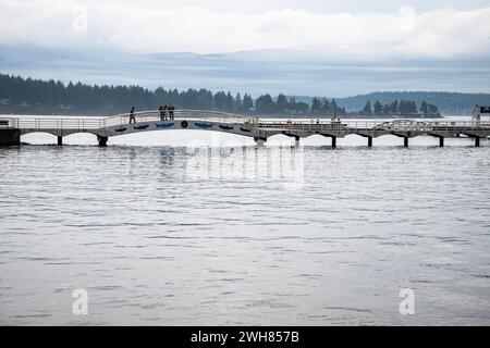 Murale de saumon sur le pont au parc Maffeo Sutton à Nanaimo, Colombie-Britannique, Canada Banque D'Images