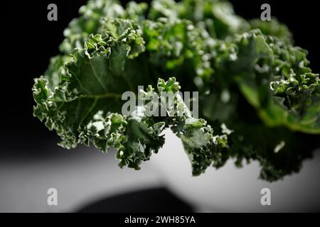 Kale vert curly, choux de feuilles dans un bol blanc sur fond sombre Banque D'Images
