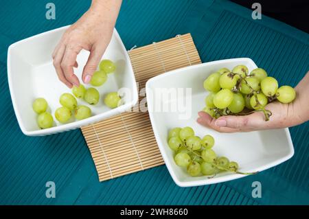 Mains tendrement Crader des raisins frais prêts à être consommés Banque D'Images