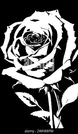 dessin linéaire graphique blanc de fleur de rose sur fond noir, design Banque D'Images