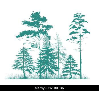 Forêt de conifères. Dessin à la main. Pas IA. Illustration vectorielle Illustration de Vecteur