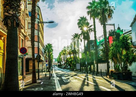 Rue à la gare ferroviaire et gare routière de Perpignan avec de grands palmiers! Coucher de soleil avec soleil brillant dans le sud-ouest de la France - Côte d'Azur Banque D'Images