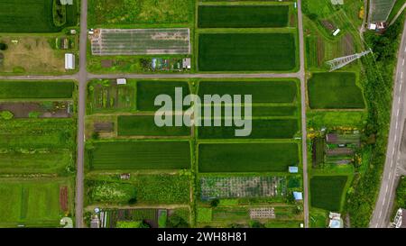 Vue aérienne au-dessus des rizières et des plantations, à Nagano, Japon - Top Down, tir par drone Banque D'Images