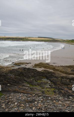 Les gens sur la plage de Sandend Bay sur la côte nord de l'Aberdeenshire Écosse Royaume-Uni Banque D'Images