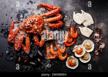 Fruits de mer bouillis sur glace - crabe royal, crevettes crevettes, moules palourdes, coquilles Saint-Jacques en coquille, pieuvre mini, calmar sur Grill sur fond sombre Banque D'Images