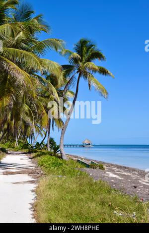 La route sablonneuse, non pavée le long de la côte au nord d'Ambergris Caye, Belize, Amérique centrale. Un quai avec un palapa peut être vu en arrière-plan. Banque D'Images