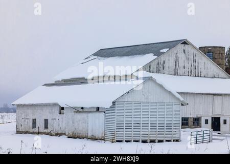 Grange amish en hiver dans le comté de Mecosta, Michigan, États-Unis [pas d'autorisation du propriétaire ; licence éditoriale uniquement] Banque D'Images