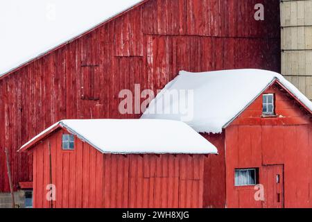 Grange amish en hiver dans le comté de Mecosta, Michigan, États-Unis [pas d'autorisation du propriétaire ; licence éditoriale uniquement] Banque D'Images