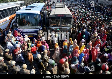 NOIDA, INDE - 8 FÉVRIER : les agriculteurs de Noida et du Grand Noida se dirigent vers Delhi pour manifester au Parlement le 8 février 2024 à Noida, en Inde. Les agriculteurs qui manifestaient sur l'autoroute Noida ont mis fin à leur agitation jeudi soir après que la police et les autorités les eurent assurés d'entendre leur demande. Les agriculteurs de Noida et du Grand Noida protestent depuis décembre 2023 pour réclamer des compensations plus élevées et ont aménagé des parcelles contre leurs terres acquises par les autorités locales de développement dans le passé. (Photo Sunil Ghosh/Hindustan Times/Sipa USA) Banque D'Images