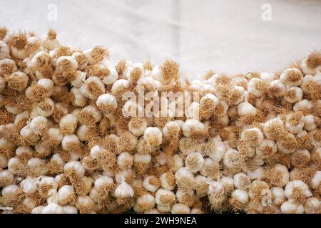 Texture de poil d'ail blanc. Ail frais sur la table du marché Banque D'Images