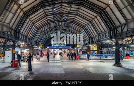 Hambourg, Allemagne. 31 janvier 2024. Vue de Kirchenallee dans l'entrée du hall de la gare centrale de Hambourg crédit : Markus Scholz/dpa/Alamy Live News Banque D'Images