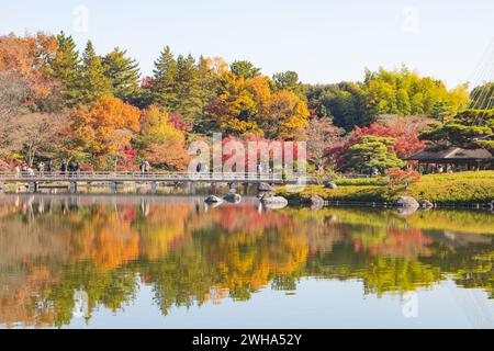 Vue panoramique d'automne au jardin japonais de Showa Kinen Koen ou parc commémoratif Showa avec des feuilles rouges et des arbres colorés, Tachikawa, Tokyo, Japon Banque D'Images