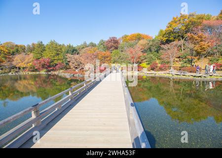 Vue panoramique d'automne au jardin japonais de Showa Kinen Koen ou parc commémoratif Showa avec des feuilles rouges et des arbres colorés, Tachikawa, Tokyo, Japon Banque D'Images