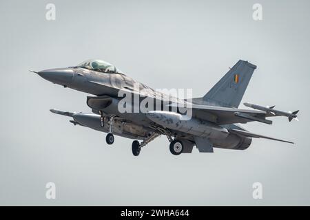 Gioia Del colle, Italie. 09th Feb, 2024. Les pays-Bas transféreront six autres chasseurs F-16 en Ukraine. Sur la photo : Lockheed Martin F-16A/B MLU Fighting Falcon du 31e escadron de l'armée de l'air belge lors de l'exercice Tiger Meet 2023 de l'OTAN à la base aérienne de Gioia del colle (Italie), les pays-Bas transféreront six avions de chasse F-16 supplémentaires en Ukraine. Photo : Lockheed Martin F-16A/B MLU Fighting Falcon du 31e Escadron de l'armée de l'air belge lors de l'exercice OTAN Tiger Meet 2023 à la base aérienne de Gioia del colle (Italie) crédit : Agence photo indépendante/Alamy Live News Banque D'Images