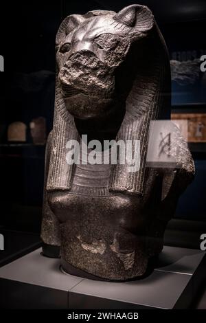 Fragment d'une statue de la déesse Sekhmet, granit noir, 18th dynastie régnant Amenhotep III, Temple de Mut, Karnak, Thèbes, Egypte, collection de t Banque D'Images