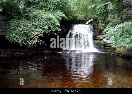 Cascades de Cauldron Falls sur Walden Beck dans le village de West Burton, Bishopdale, Yorkshire Dales National Park, Angleterre, Royaume-Uni. Banque D'Images