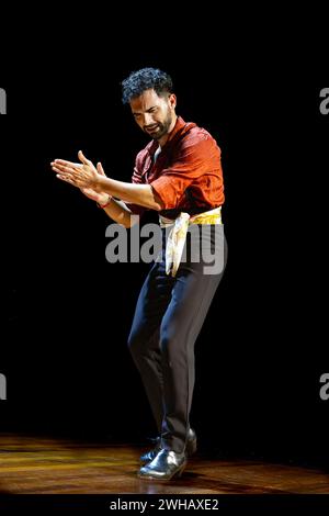 Un danseur de flamenco masculin, vêtu d'une chemise rouge, fait preuve de précision et d'équilibre avec ses mains lors d'une performance passionnée. Banque D'Images