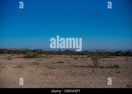 Ciel bleu et désert brun dans les hautes terres rocheuses près de Nazca avec des plantes du désert et peu d'eau à Nazca Pérou Banque D'Images