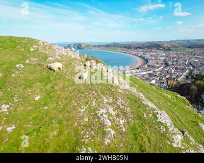 Llandudno, Nord du Pays de Galles Banque D'Images