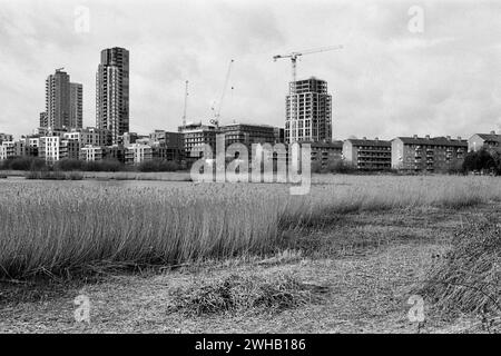 Nouveaux appartements en construction, vue depuis Woodberry Wetlands, North London, Royaume-Uni Banque D'Images