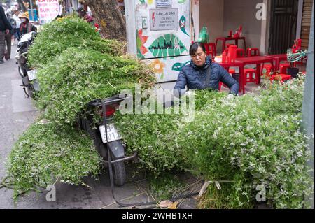 Tet, abréviation de Tet Nguyen Dan, la célébration la plus importante en vietnamien c Banque D'Images