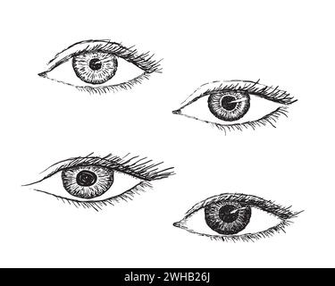 Yeux dessinés à la main. Une collection de différentes formes d'oeil féminin dessiné stylisé Illustration de Vecteur