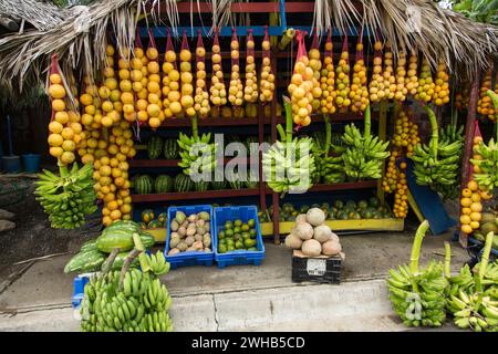 Stand de fruits coloré en bord de route avec une variété de fruits tropicaux à la périphérie de Navarrete, République dominicaine. Banque D'Images