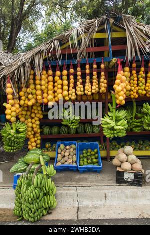 Stand de fruits coloré en bord de route avec une variété de fruits tropicaux à la périphérie de Navarrete, République dominicaine. Banque D'Images