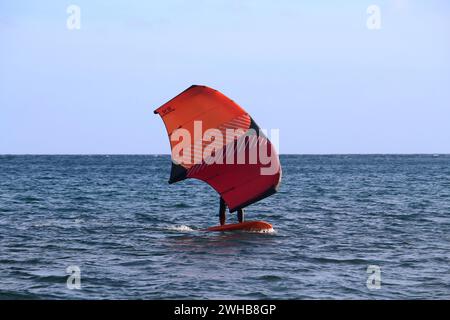 Le plus récent voile d'aile de sport de planche à voile à la mer (île de Tenerife, Espagne) Banque D'Images