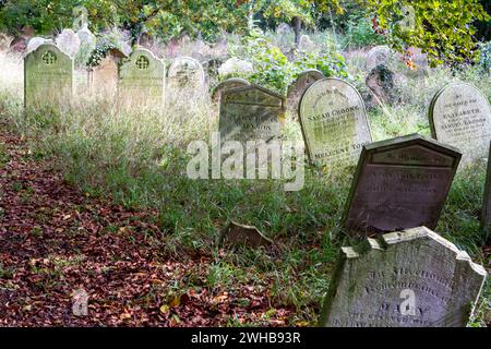 Entouré de longues herbes et de feuilles brunes automnales quelques pierres tombales victoriennes penchent dans le cimetière de la ville de marché du Suffolk Framlingham. Banque D'Images