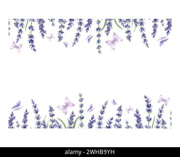 Cadre horizontal aquarelle de fleurs de lavande violettes avec des feuilles vertes et des papillons. Modèle à partir d'herbes avec espace de copie. Isolé à la main dessiné i Banque D'Images