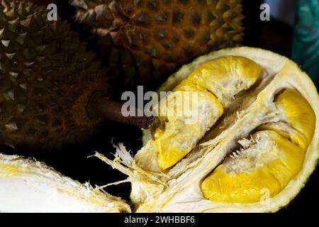 Une photo rapprochée d'un durian Musang King, un fruit épi, de forme ovale avec une forte odeur. Le durian est fendu, révélant sa chair crémeuse et jaune. Banque D'Images