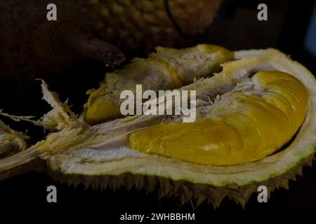 Une photo rapprochée d'un durian Musang King, un fruit épi, de forme ovale avec une forte odeur. Le durian est fendu, révélant sa chair crémeuse et jaune. Banque D'Images