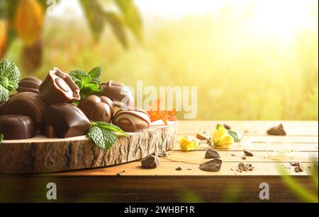 Assortiment de chocolats noirs et au lait de l'agriculture biologique sur assiette en bois sur table en bois avec des feuilles de menthe, des morceaux de chocolat et des fleurs avec la nature b Banque D'Images