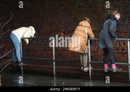 Major's Green, Bromsgrove, 9 février 2024. Trois femmes se sont retrouvées bloquées alors qu'elles essayaient de naviguer dans les inondations dans les Midlands. Les femmes ont finalement trouvé leur chemin hors d'une banque sur Peterbrook Road dans Major's Green et le long de balustrades métalliques comme de nombreux conducteurs passaient, provoquant d'énormes vagues d'arc en raison de fortes précipitations la nuit et tout au long de la journée. Crédit : arrêtez Press Media/Alamy Live News Banque D'Images