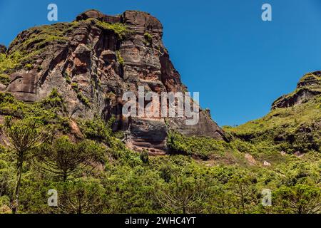 Pittoresque Morro dos Cabritos rocher ou canyon avec des arbres araucaria par jour ensoleillé à Santa Catarina, Brésil Banque D'Images