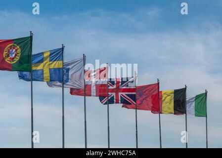 Hissé des drapeaux de pays européens, Sirmione, lac de Garde, Italie Banque D'Images