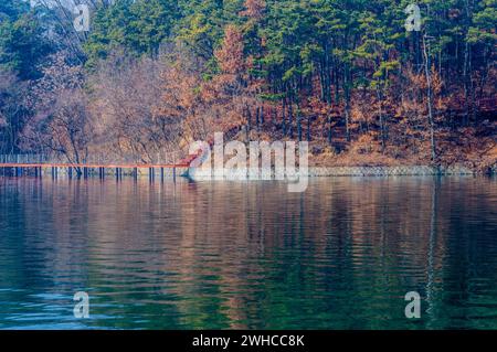 Paysage de lac avec une passerelle en bois sur le rivage avec des escaliers menant à une zone boisée en Corée du Sud Banque D'Images