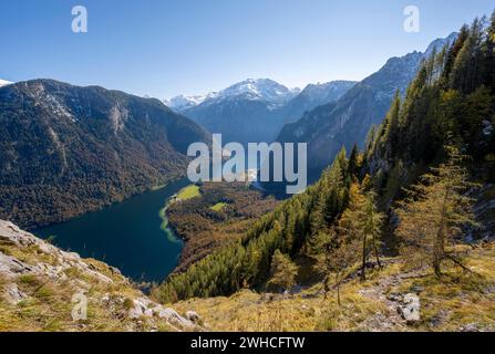 Vue sur le Königssee depuis le sentier de randonnée de montagne Rinnkendlsteig, forêt automnale et montagnes enneigées, parc national de Berchtesgaden, Berchtes Banque D'Images