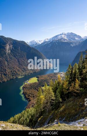 Vue sur le Königssee depuis le sentier de randonnée de montagne Rinnkendlsteig, forêt automnale et montagnes enneigées, parc national de Berchtesgaden, Berchtes Banque D'Images