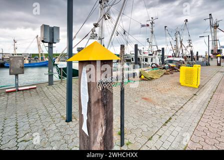 Croix noires, protestation, crevette dans le port, tourisme, pêcheurs, digue, Dornumersiel, Frise orientale, mer du Nord, Allemagne, Banque D'Images