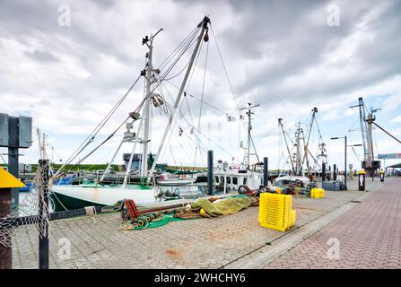 Croix noires, protestation, crevette dans le port, tourisme, pêcheurs, digue, Dornumersiel, Frise orientale, mer du Nord, Allemagne, Banque D'Images