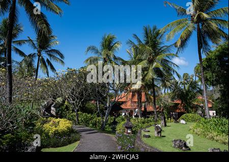 19.07.2023, Nusa Dua, Benoa, Bali, Indonésie, Asien - Garten mit Palmen in der Hotelanlage Grand Hyatt Bali in Nusa Dua am suedlichen Zipfel der Insel. *** 19 07 2023, Nusa Dua, Benoa, Bali, Indonésie, Asia Garden avec des palmiers dans le complexe hôtelier Grand Hyatt Bali à Nusa Dua sur la pointe sud de l'île Banque D'Images