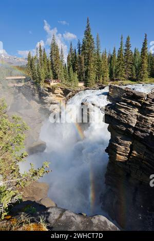 Chute d'eau des chutes Athabasca, rivière Athabasca, promenade des champs de glace, parc national Jasper, Alberta, Canada Banque D'Images