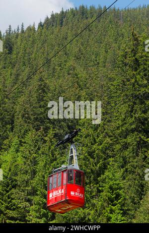 Une télécabine rouge planant au-dessus de sapins denses dans une forêt de montagne, station de téléphérique Balea Cascada, Transfogarasan High Road Banque D'Images